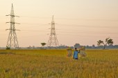 فك الارتباط بين الطاقة والمياه والزراعة في الهند: هل الطاقة الشمسية هي الترياق السحري الموعود؟