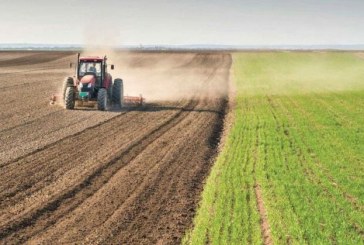 تحسين سياسات أطر الشراكة بين أنظمة الزراعة الخاصة والعامة في القطاع الزراعي