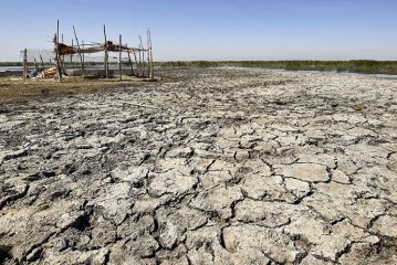 كيف نتعامل مع خطر التغير المناخي؟