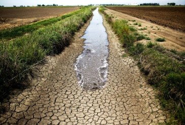 الجفاف والسيول.. معضلة دولية مشتركة!