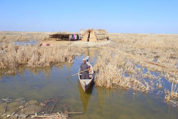 من الاسترخاء إلى الإجهاد المائي: مشكلة المياه في العراق وعلاقتها بالسياسات المائية لدول الجوار وتغيُّر المناخ