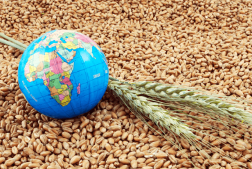 ماهية “إيجاد” وحدود دورها في قضية الأمن الغذائي في منطقة القرن الإفريقي