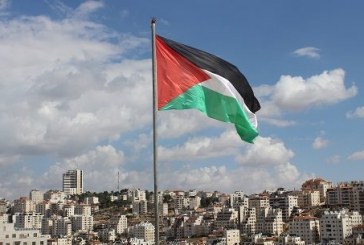 دور الدبلوماسية الناعمة لمنظمة التعاون الإسلامي في دعم القضية الفلسطينية