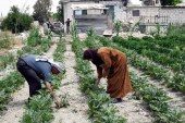 تحديات الأمن الغذائي في الشرق الأوسط وشمال أفريقيا