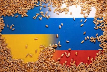 اشارات ايجابية: تمديد اتفاقية تصدير الحبوب والأمن الغذائي العالمي