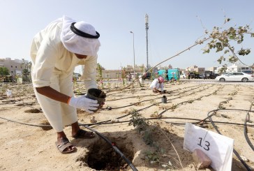 الكويت وتحدي التغير المناخي: الطريق نحو الاستدامة