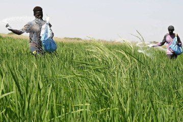 أهمية الاستثمار الزراعي المسؤول لتحقيق الأمن الغذائي العربي