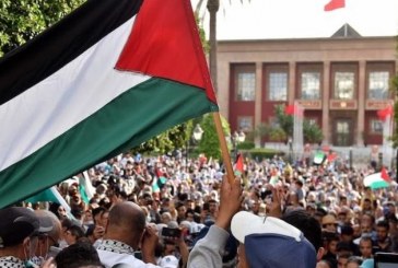تفاعل متباين وأرضية مشتركة: المغرب العربي والحرب الإسرائيلية على قطاع غزة