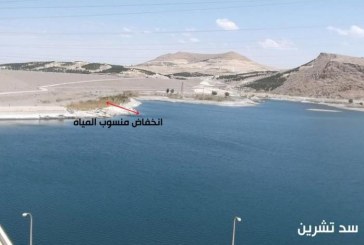 جيوبوليتيك المياه في الشرق الأوسط: حالتي نهر الأردن، دجلة والفرات