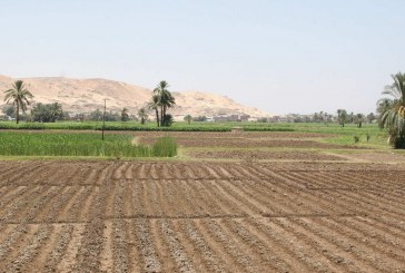 الأرض العطشانة: كم سيكلف سد النهضة الزراعة في مصر؟
