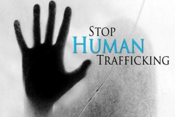جريمة نقل وزراعة الأعضاء البشرية والجهود الدولية لمكافحة الاتجار بالاعضاء البشريه