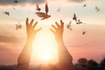 ثقافة التسامح ودورها في الضبط الاجتماعي