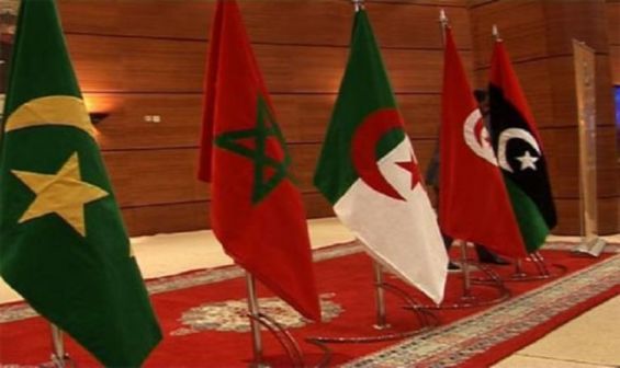 التكامل الإقليمي كآلية لدعم النمو الاقتصادي في اتحاد المغرب العربي
