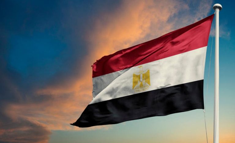 تاريخ ومنهجية العلاقات الدولية في مصر