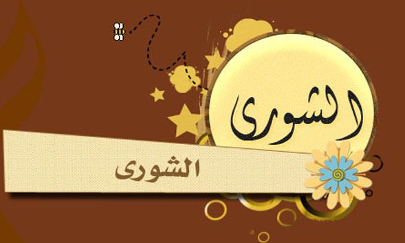 مفهوم مبدأ الشورى ومبدأ الديمقراطية