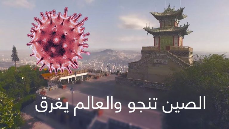 مستقبل النسق الدولي الحالي في ظل صعود دول كبرى: دراسة حالة الصين