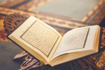 وصف الأكثرية بين القرآن الكريم والديمقراطية: أي مفارقة؟