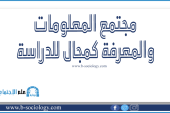 مجتمع المعلومات والمعرفة كمجال للدراسة