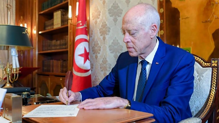 ملامح مشروع الحكم المجالسي لقيس سعيد