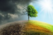 مستقبل الدلتا: تداعيات التغيرات المناخية على مصر