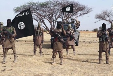 نشاط داعش في نيجيريا وأثره على الانتخابات