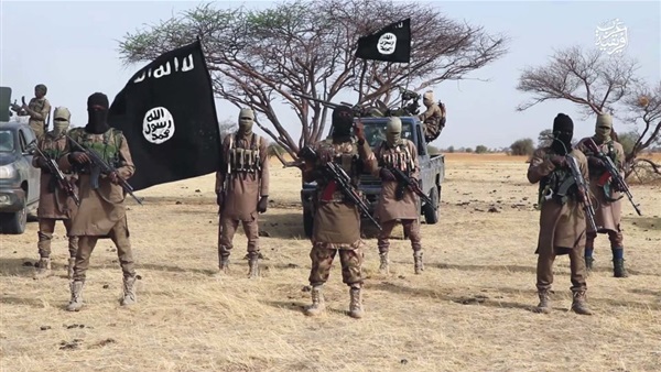 نشاط داعش في نيجيريا وأثره على الانتخابات