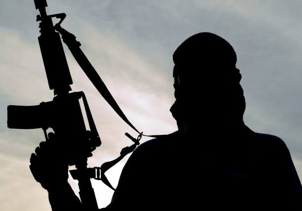 الهجوم الإرهابي في سيناء: دلالات استهداف البنية التحتية