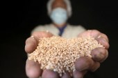 مصر وفشل التنمية والحمائية الجديدة: المأزق المزدوج لنموذج الأمن الغذائي النيوليبرالي