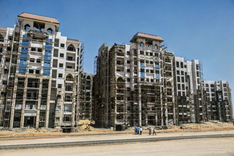 القطاع الخاص شريك في ملف الأمن الغذائي المصري