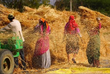 الهند نموذجًا: لماذا تصاعدت القومية الغذائية خلال الحرب الأوكرانية؟