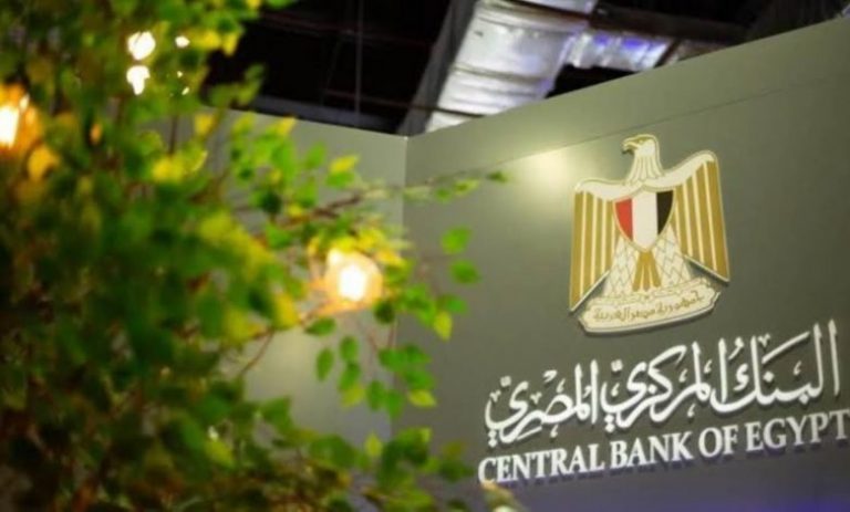 قراءة في الدين الخارجي المصري