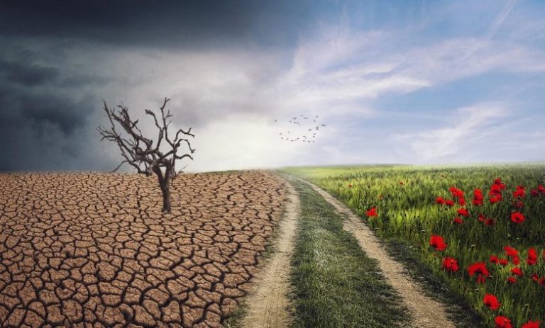 بين التنصل والتحايل.. كيف استجابت الدول المتقدمة لتعهدها المناخي بـ100 مليار دولار للدول النامية؟
