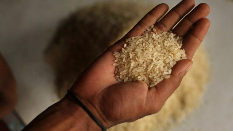 تحديات وشيكة: الجوع واضطراب الأمن الغذائي العالمي