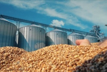 الخطوات المصرية للتحول إلى مركز استراتيجي لتخزين القمح في المنطقة