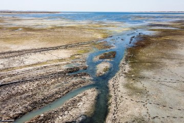 الزراعة المستقبلية مع شحة المياه وتملح التربة في العراق