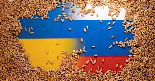 اشارات ايجابية: تمديد اتفاقية تصدير الحبوب والأمن الغذائي العالمي