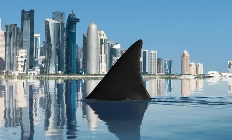 إيكونوميست: طموح دول الخليج لتغيير العالم