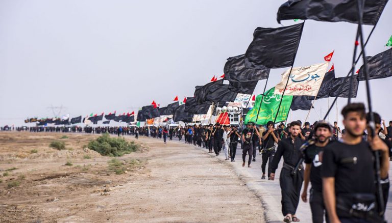 الزيارة الاربعينية بعيون تخصصية. !